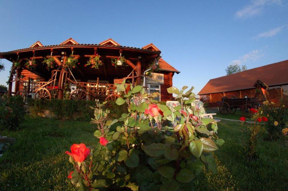 Bed and breakfast Roenk-Wellness Panzio Mezopeterd Extérieur photo